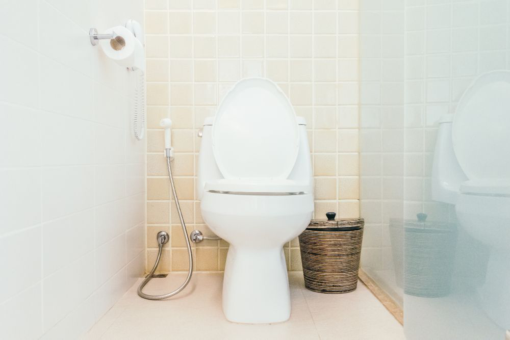 How to Unblock a Badly Blocked Toilet: Tips and Techniques